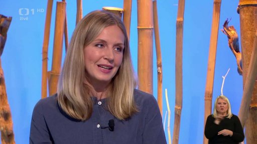 Zobrazovací metody v gynekologii - 2. část