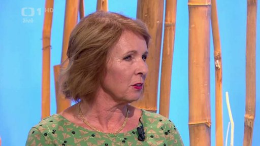 Domácí ekonomika - superdávka a majetkový test a pracovní bonus