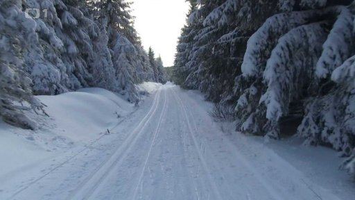 Na běžkách z Rokytnice v Orlických horách