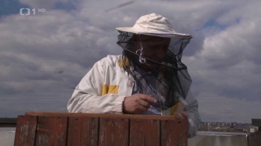 Včelaření na střeše