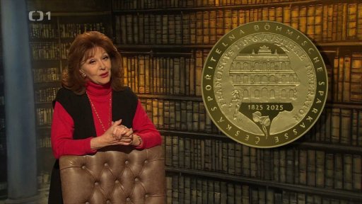 Schraňovací pokladnice