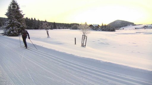 Nejnižší ranní teploty