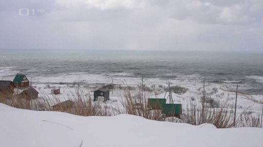 Rekordní počet útoků medvědů v Japonsku