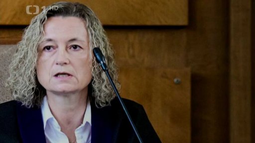 Kauza Čapí hnízdo a předvolební plakáty SPD