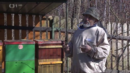 Jarní počasí probouzí přírodu