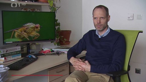 Úbytek ptactva v Severní Americe