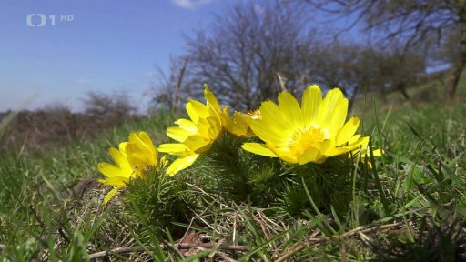 Předpověď slibuje oteplení