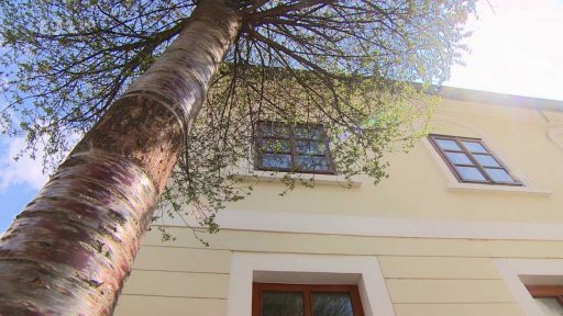 Český výzkum kořenů rostlin