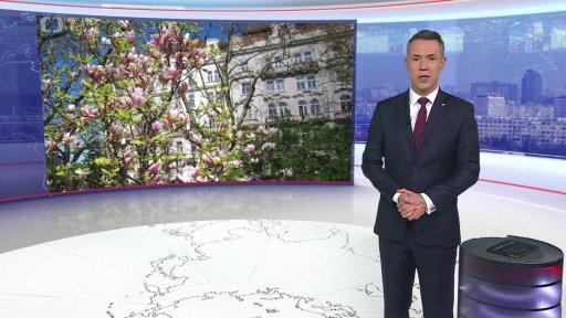 Počet případů horečky dengue