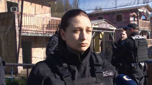 Fyzické útoky na strážníky městské policie