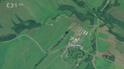 Útok medvědice v Polsku