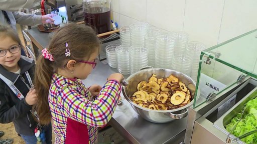 Návrh na odložení nových pravidel pro školní jídelny