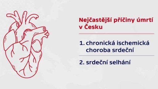 Nejčastější příčiny úmrtí