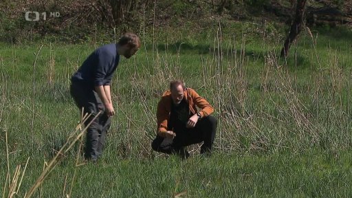 Proměna evropské přírody vlivem člověka