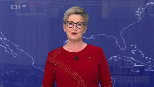 Budoucí zmocněnec pro plnění závazků vůči NATO