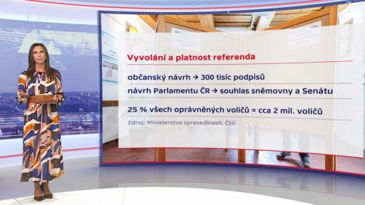 O čem nebude možné rozhodnout referendem