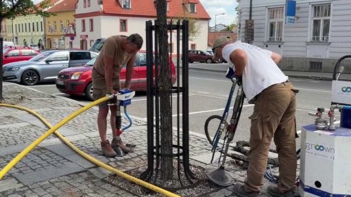 Ošetření stromů proti suchu