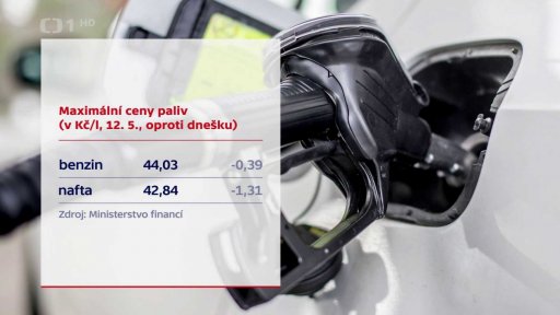 Maximální ceny paliv