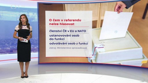 Příklady možných otázek v referendu