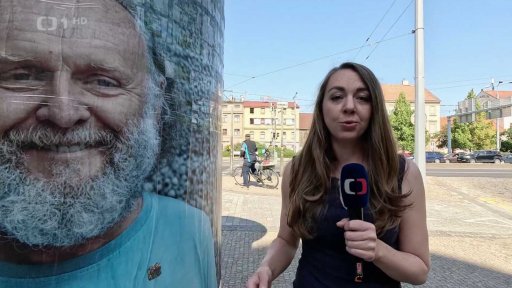 Omezení reklamy v Pzni