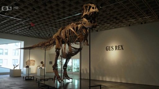 Aukce kostry tyrannosaura