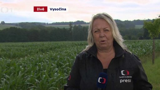 Silné bouřky v Česku