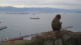 Volná cesta mezi Španělskem a Gibraltarem