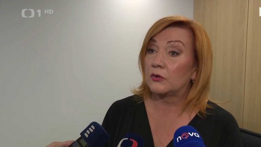 Privatizace části pražského letiště