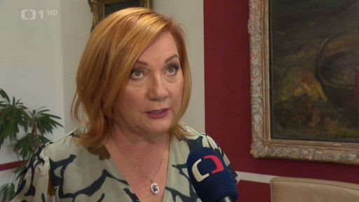 Hlasování poslanců o prezidentově vetu