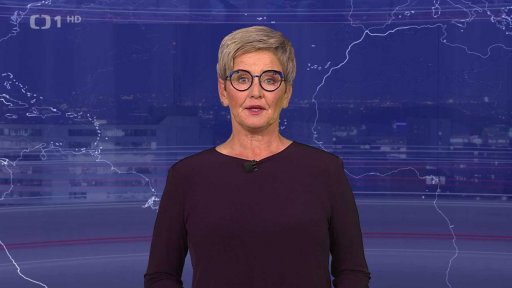 Velká černá kočkovitá šelma na jihu Čech