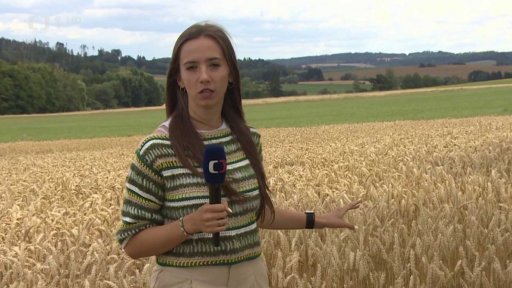 Průzkum u Cerekve