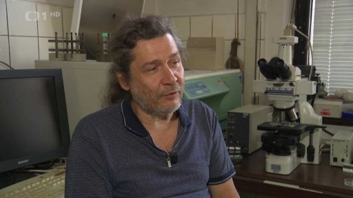 Paraziti v přírodních koupalištích