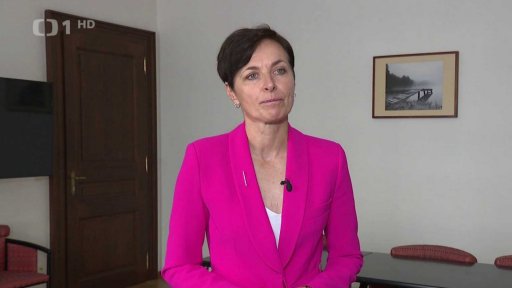 Změna paragrafu o cizí moci