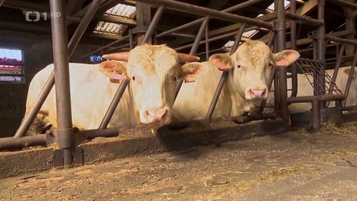 Problémy farmářů kvůli suchu