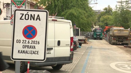 Brněnská zeleň po vedrech