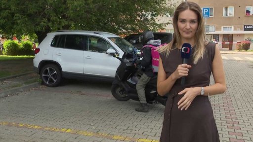 Zákon o platformové práci