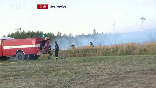 Požár lesa na Jihlavsku