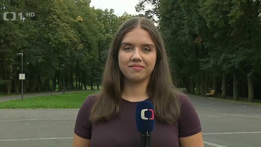 Kácení v Komenského sadech