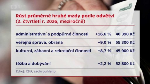 Mzdy podle odvětví a regionů