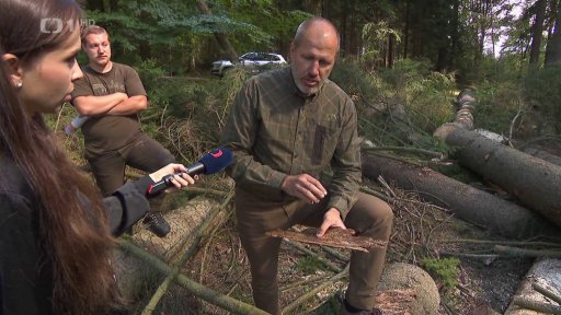 Sucho a horko svědčí kůrovci