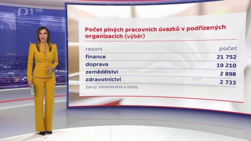 Počet plných pracovních úvazků