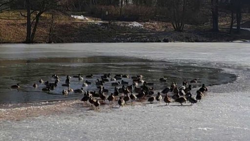 Soutěž iReportérů ČT