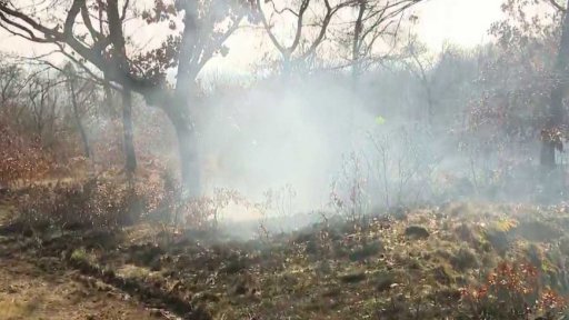 Řízené vypalování v Podyjí