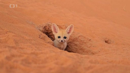 Sahara