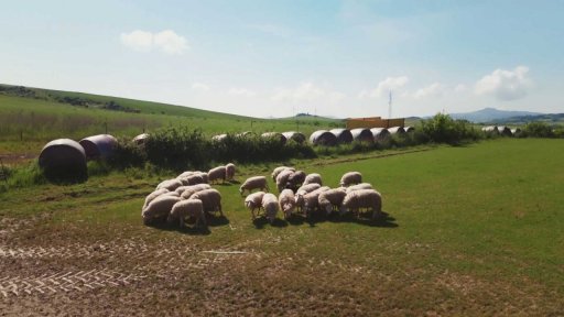 Ovčí farma Pienza