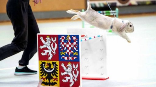 Kvalifikace na MČR v králičím hopu