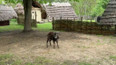 Archeoskanzen Březno u Loun