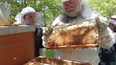Festival medu a dřeva v Ořechu