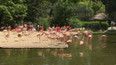 Zoo Praha