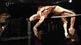 Výstava Body worlds